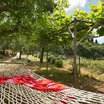 Galini Vines - Authentic Corfu Village Life Wifi Ac