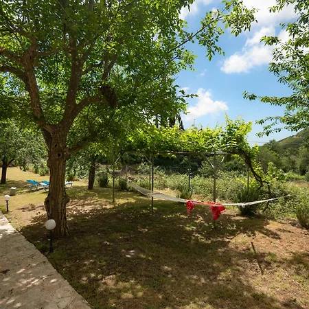 Galini Vines - Authentic Corfu Village Life Wifi Ac 別荘 Petáleia