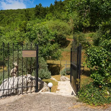 別荘 Galini Vines - Authentic Corfu Village Life Wifi Ac Petáleia