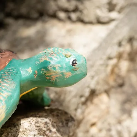 Galini Vines - Authentic Corfu Village Life Wifi Ac Holiday home