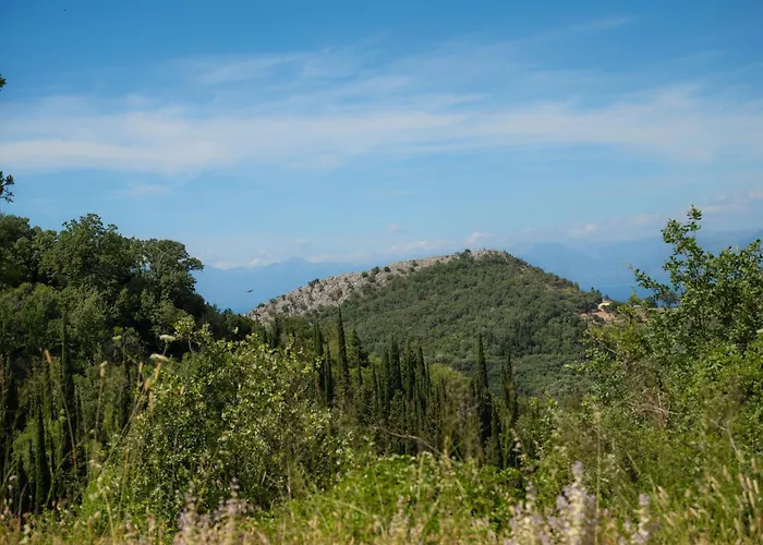 Galini Vines - Authentic Corfu Village Life Wifi Ac