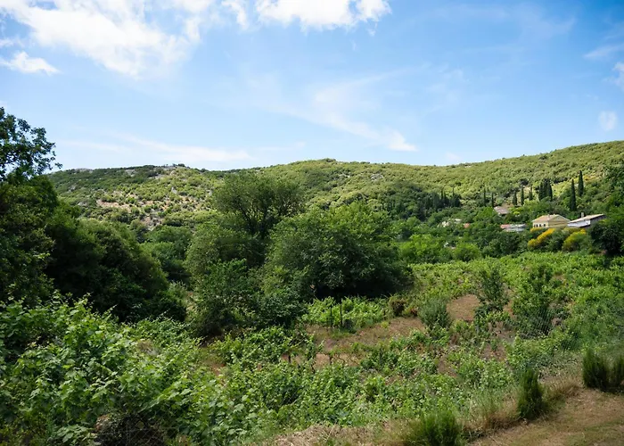 Сasa de vacaciones Galini Vines - Authentic Corfu Village Life Wifi Ac