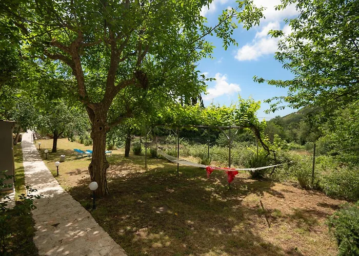 Galini Vines - Authentic Corfu Village Life Wifi Ac Сasa de vacaciones Petáleia