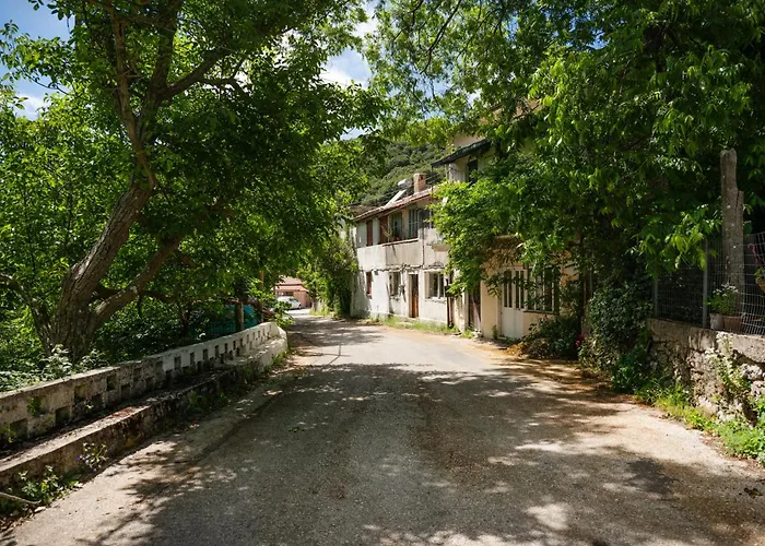 Galini Vines - Authentic Corfu Village Life Wifi Ac * Petáleia