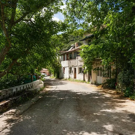 Galini Vines - Authentic Corfu Village Life Wifi Ac * Petáleia