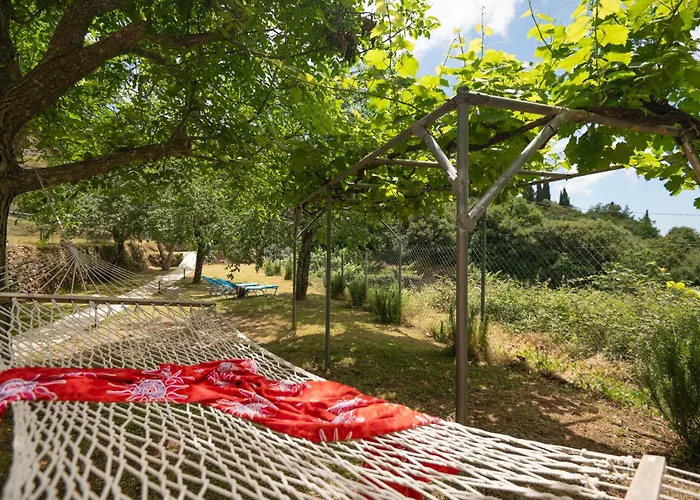 Galini Vines - Authentic Corfu Village Life Wifi Ac