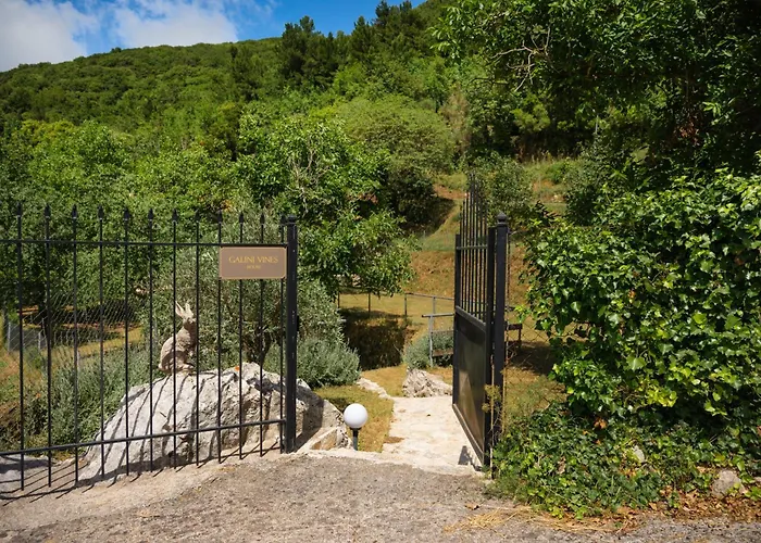 Casa de Férias Galini Vines - Authentic Corfu Village Life Wifi Ac Petáleia