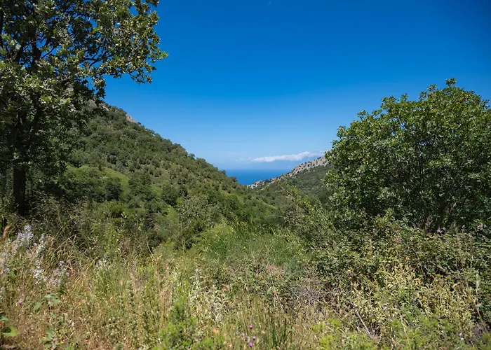Galini Vines - Authentic Corfu Village Life Wifi Ac Petáleia