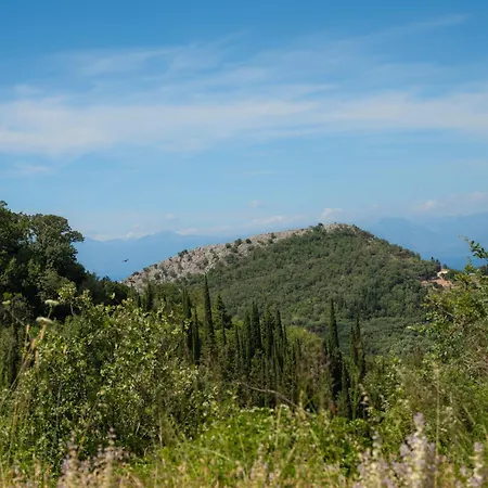 Galini Vines - Authentic Corfu Village Life Wifi Ac