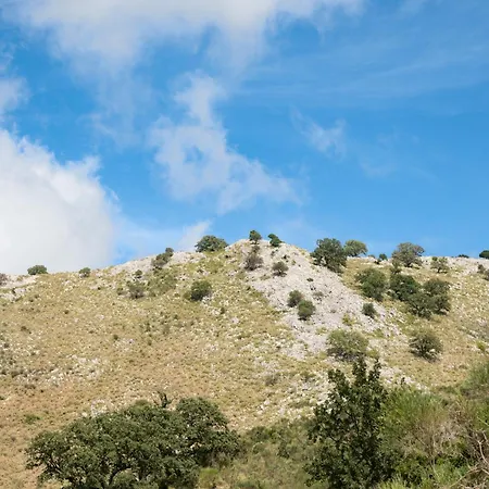 Galini Vines - Authentic Corfu Village Life Wifi Ac بيت للعطل Petáleia