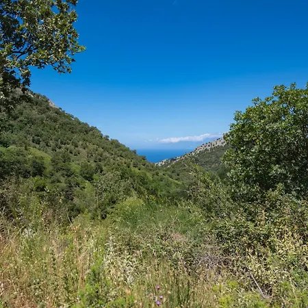 Galini Vines - Authentic Corfu Village Life Wifi Ac Petáleia