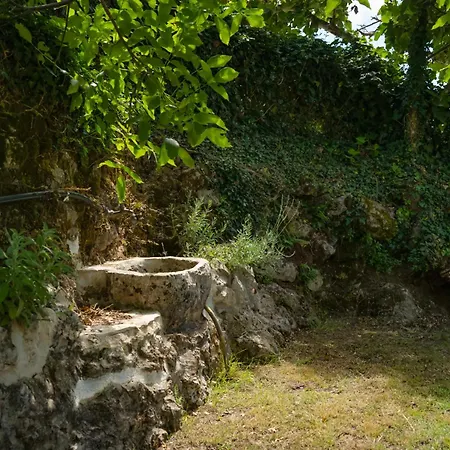 بيت للعطل Galini Vines - Authentic Corfu Village Life Wifi Ac